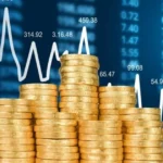 Perfil de investidor: veja como descobrir se você é conservador, moderado ou arrojado